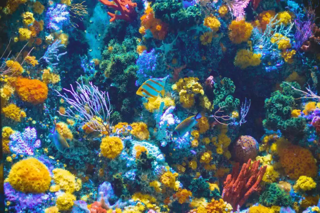 a close up of a coral reef. It fills the entire image with birhgt yellow, red, green and purple sponges and corals. A few tropical fish swim above the reef. The effect is like that of a colourful painting.