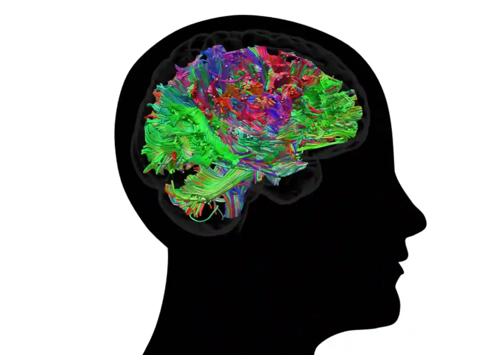 a side view silhouette of a head. Inside a multiciloured image of the brain